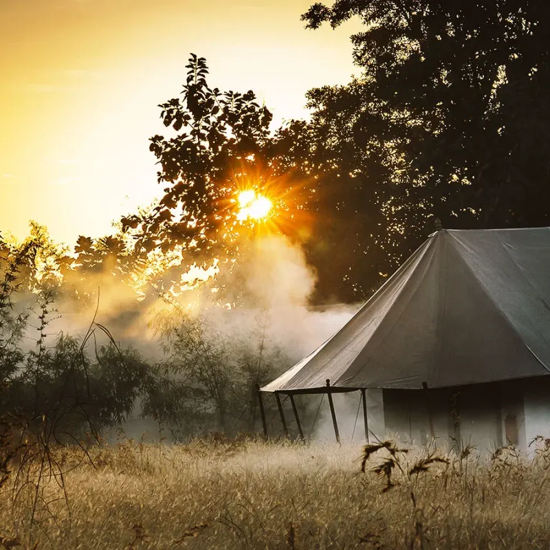 Jamtara Wilderness Camp- 16