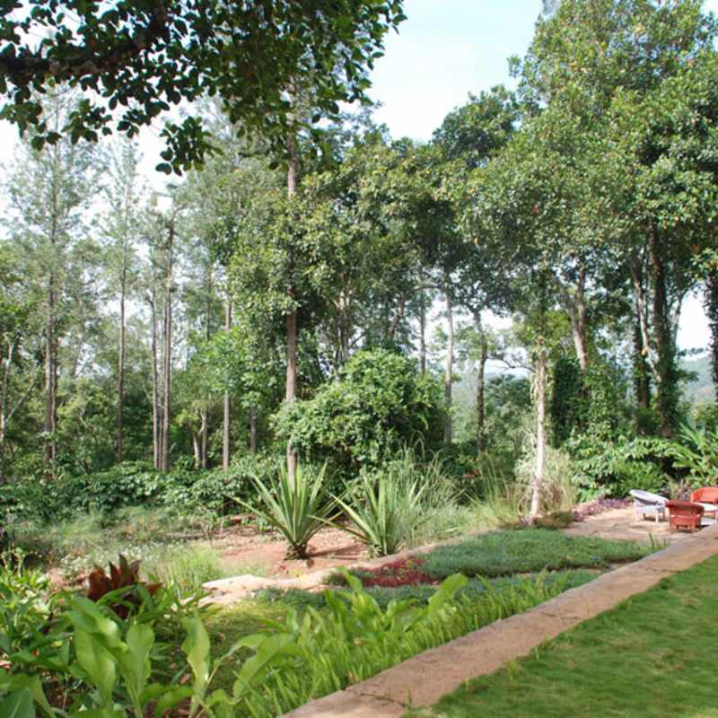 Rajakkad Estate- 15