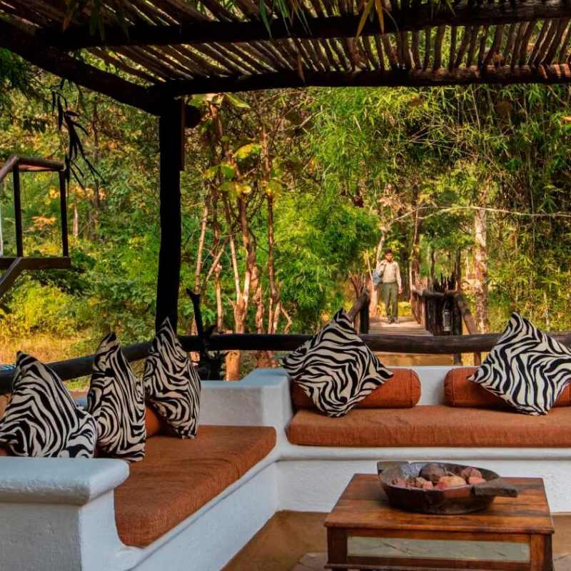 Reni Pani Jungle Lodge- 10