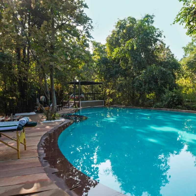 Reni Pani Jungle Lodge- 12