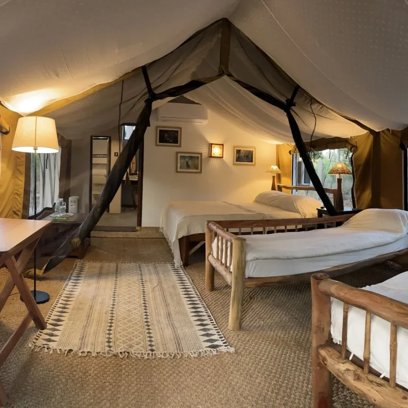 Shergarh Tented Camp- 10