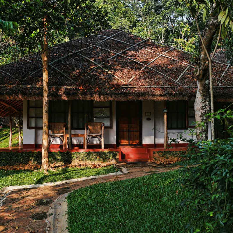 Spice Village- 10