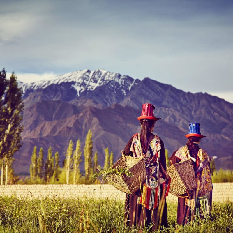 Village Walk - Chamba Camp, Thiksey