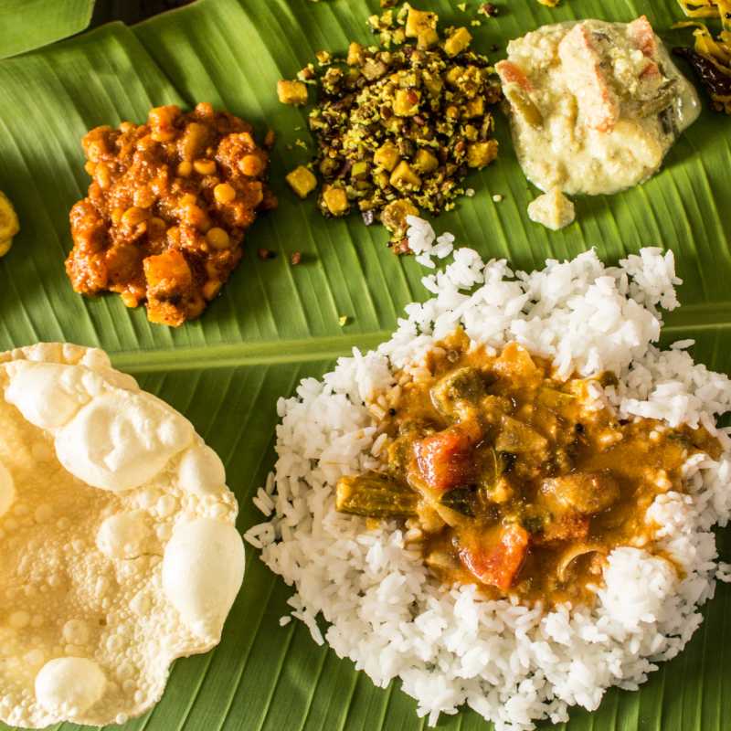 Traditional Curry  