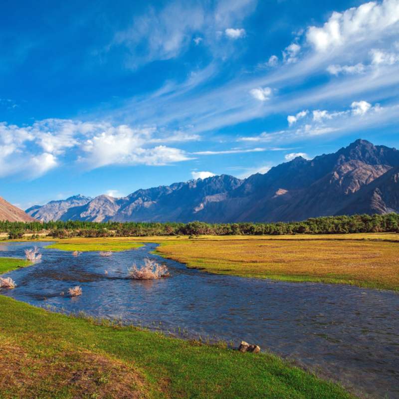 Nubra Valley in Summer 