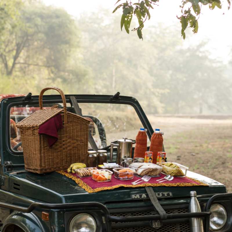 Game Drives 