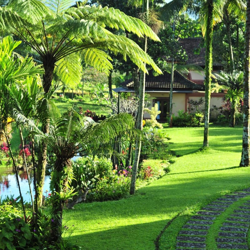 Gardens - Ijen Resort