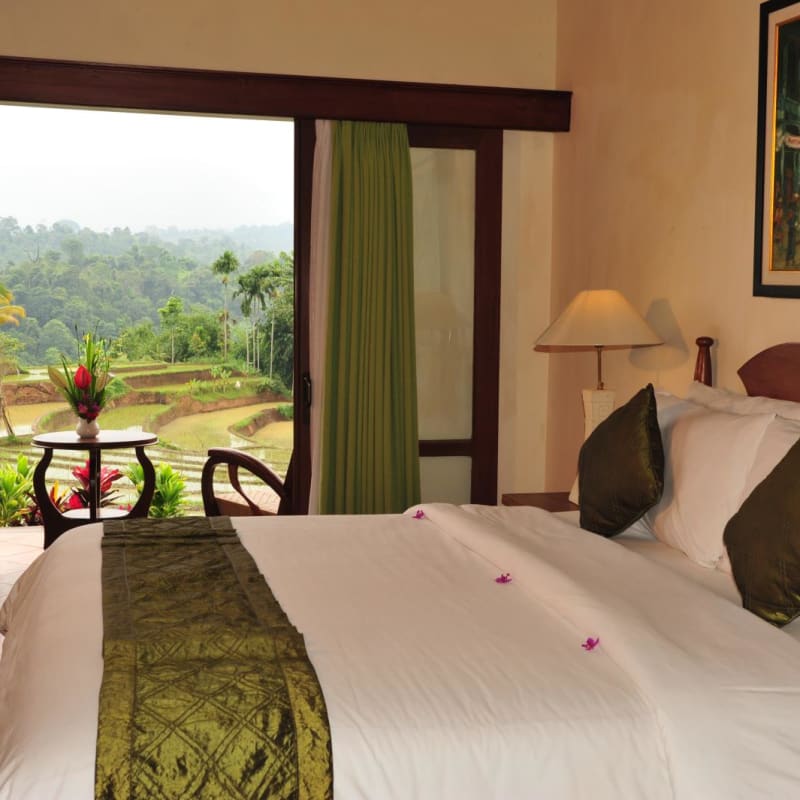 Junior Suite - Ijen Resort