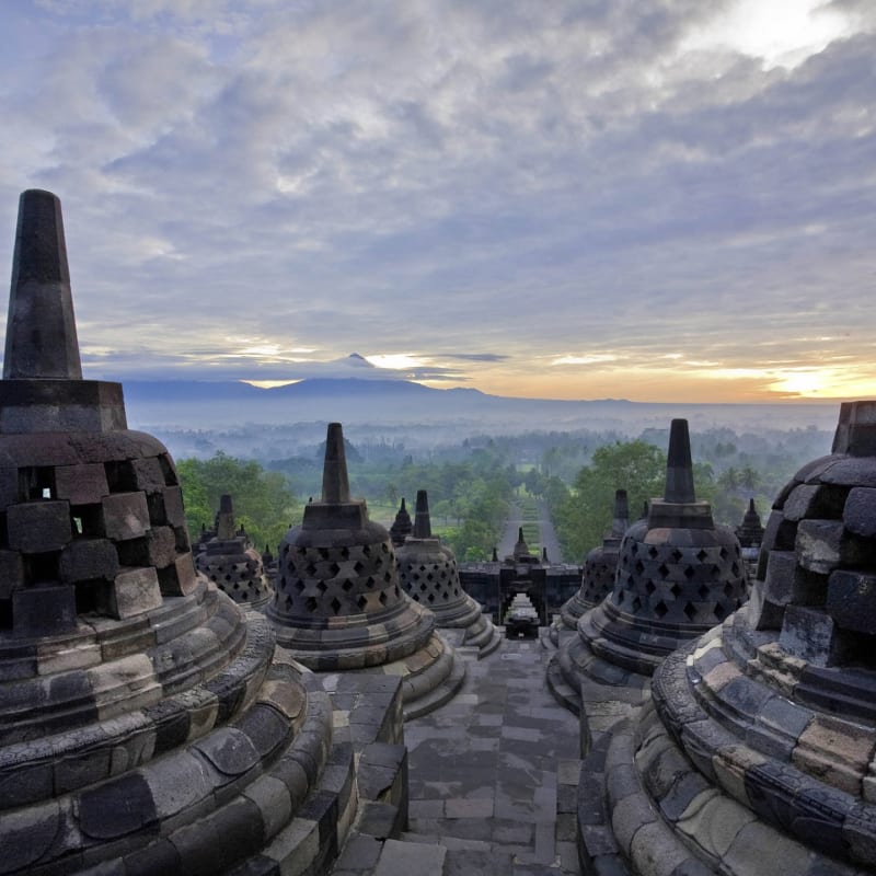 Borobudur - Phoenix Yogyakarta