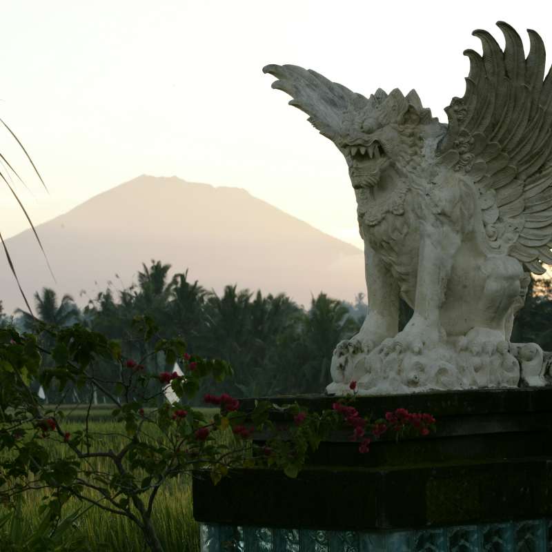 The Viceroy Bali- 6
