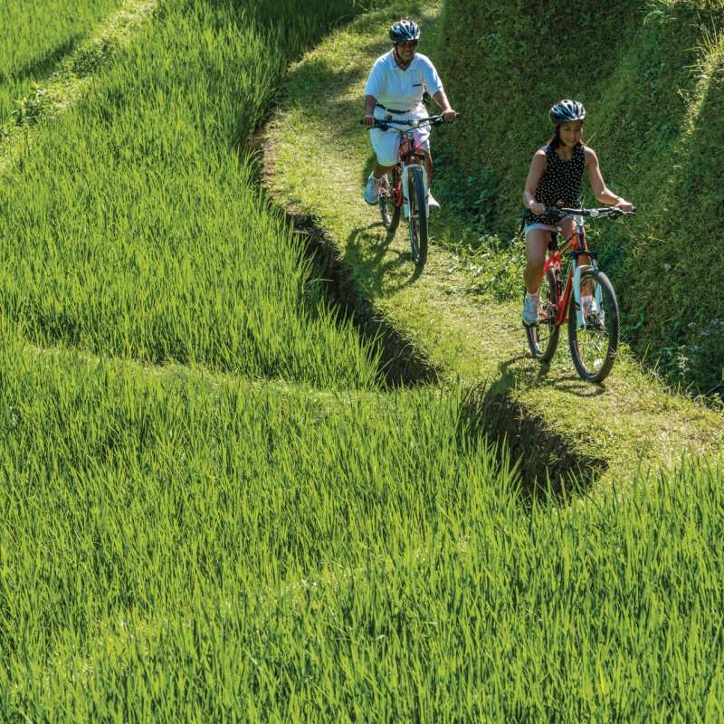 Cycling in Ubud - Bali for Families