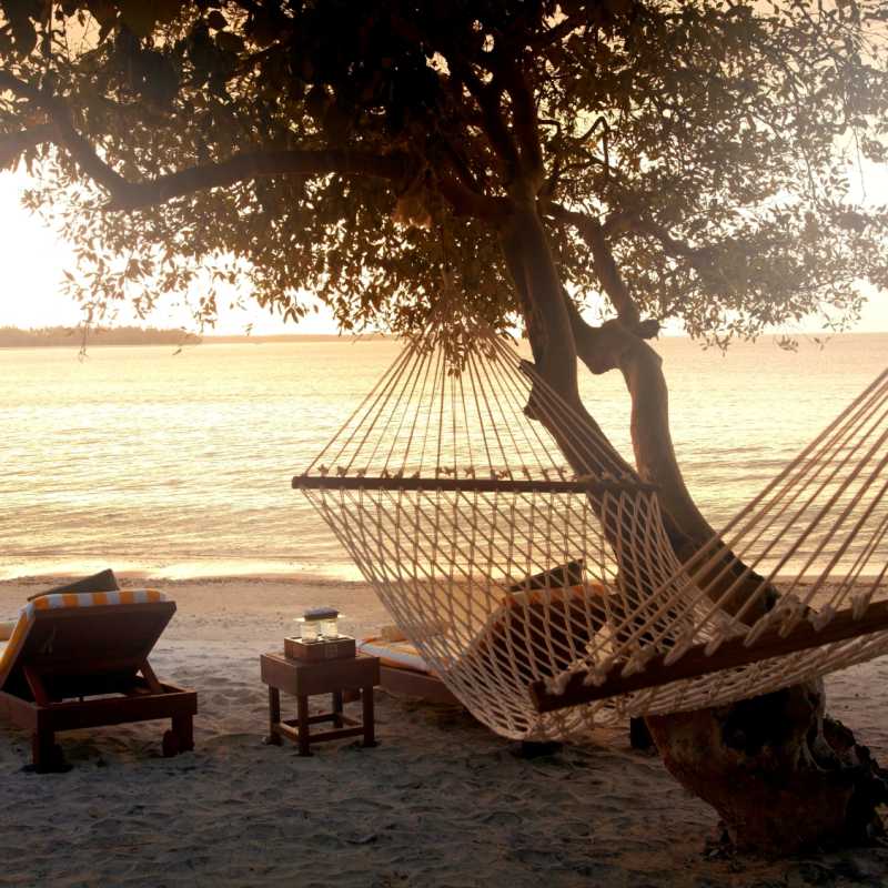 Hammock on the beach 