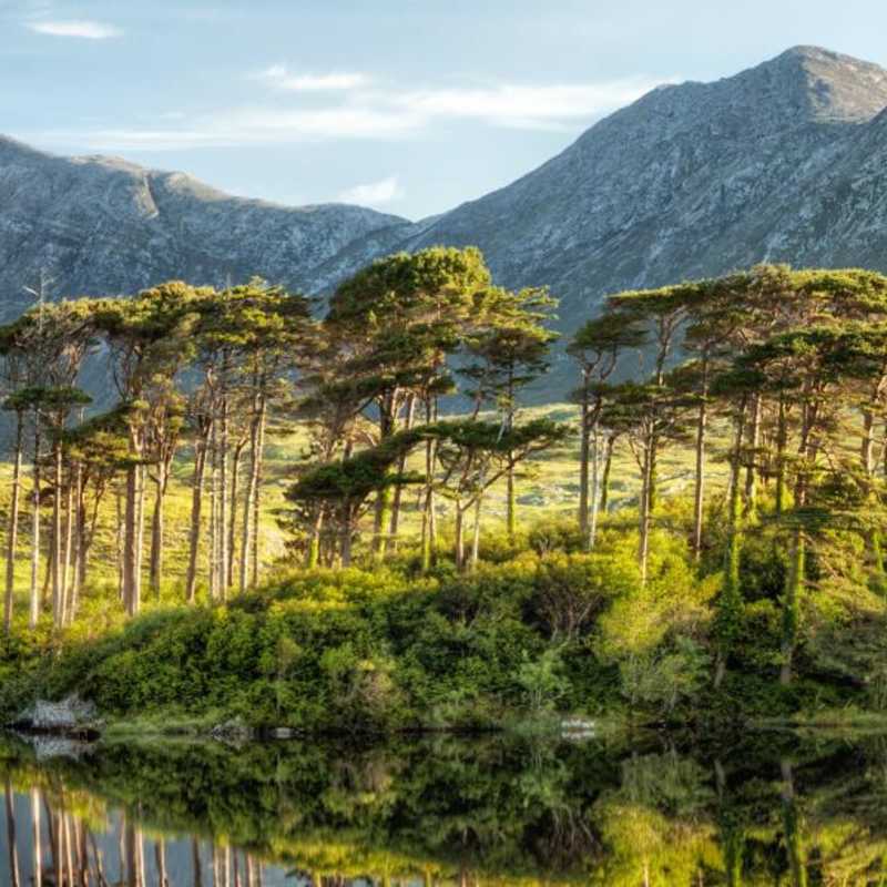 Connemara - Classic Ireland