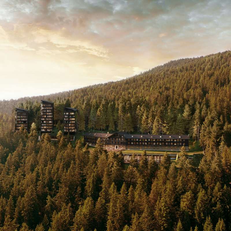 FORESTIS- 7