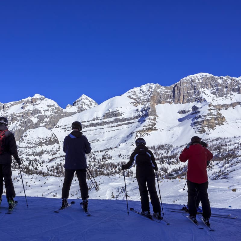 Skiiers 