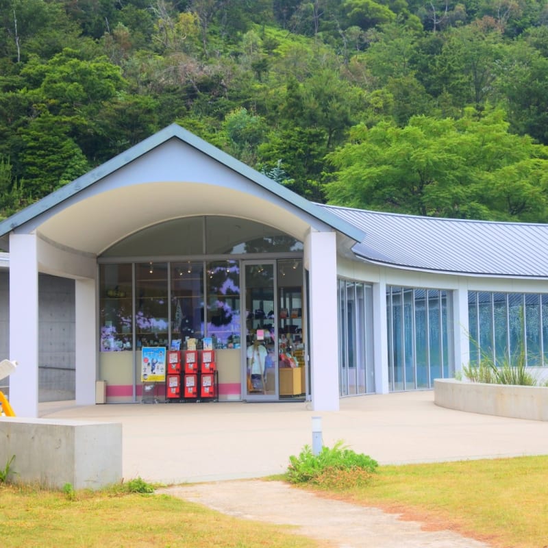 Shop - Benesse House
