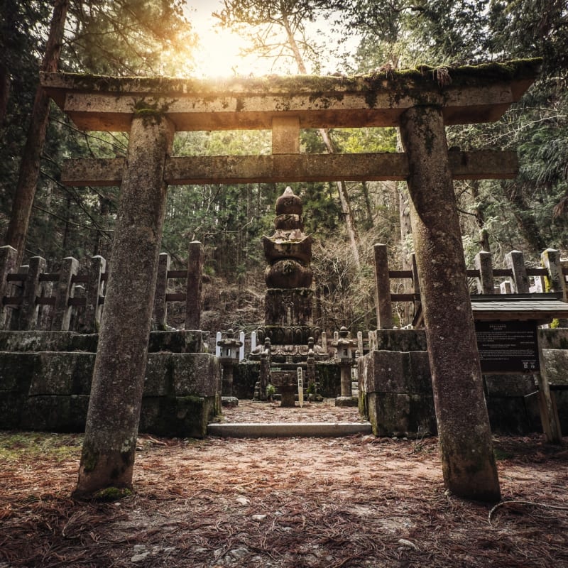 Mount Koya 