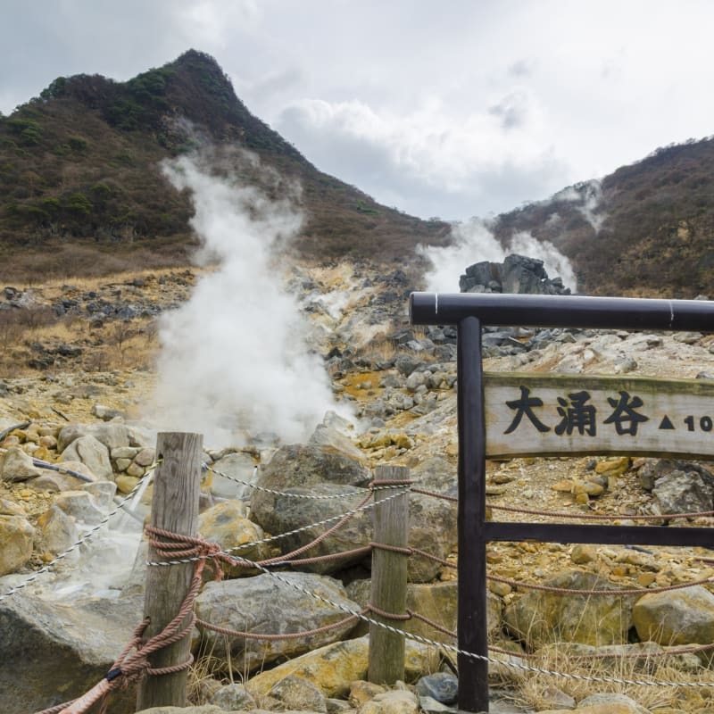 Hakone - Yoshimatsu