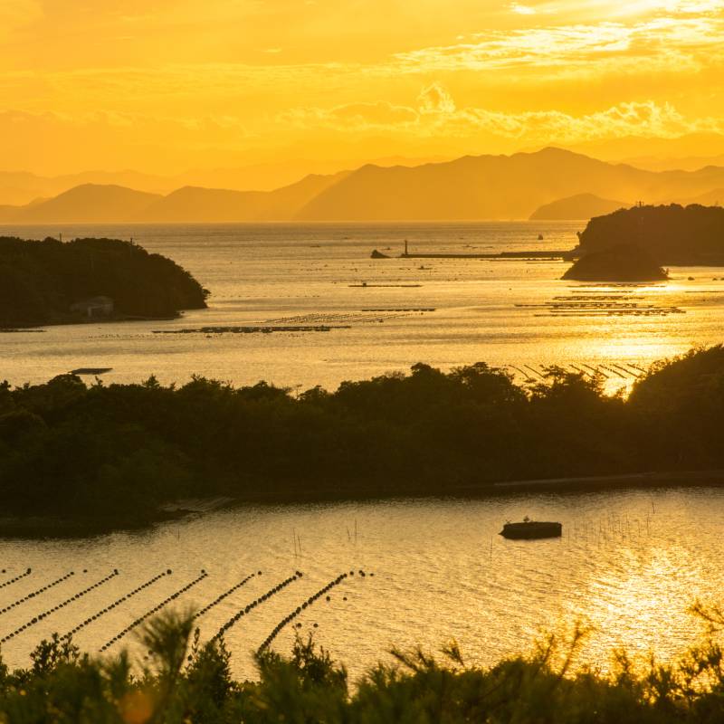Remote Japan 