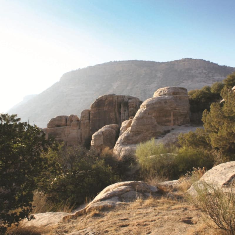 Dana Guesthouse - Discover Dana Nature Reserve