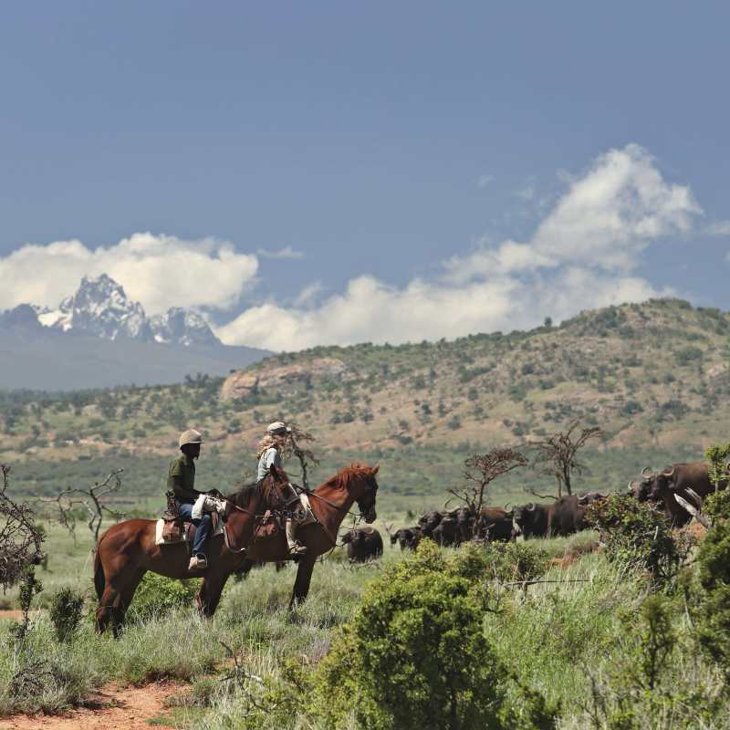 Borana Lodge- 14
