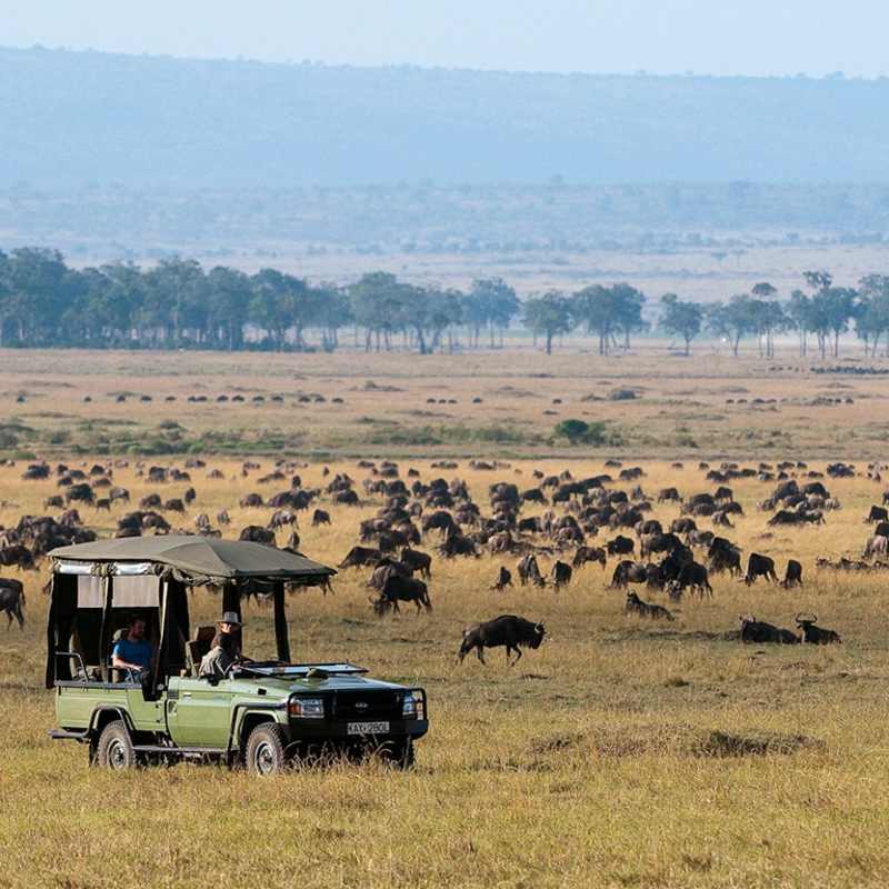 Mara Plains- 6