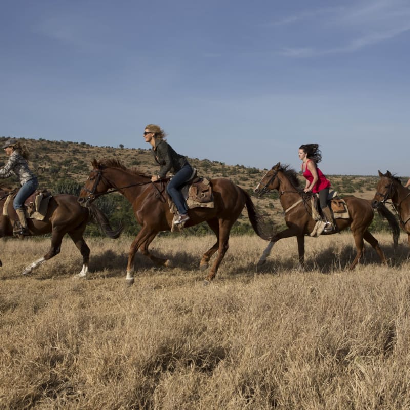 Horse riding on Borana