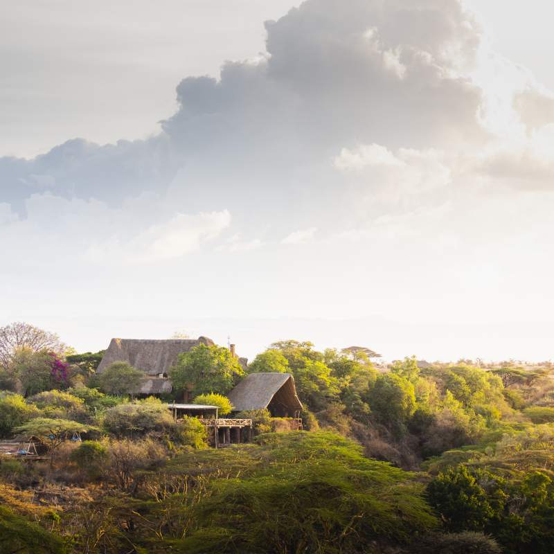 Lewa Wilderness- 17