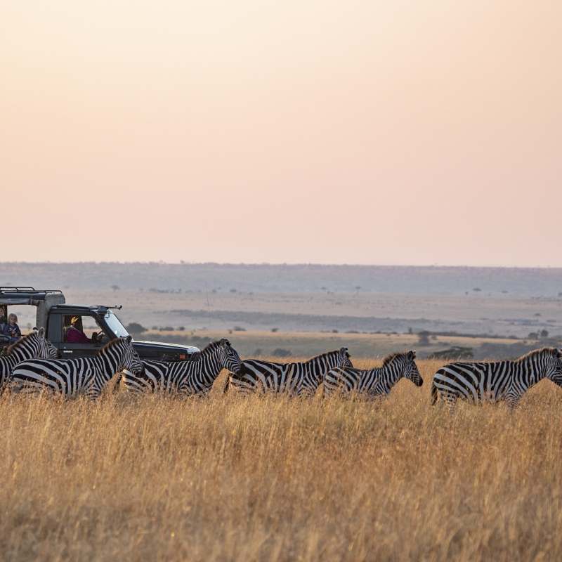 Offbeat Mara Camp- 18