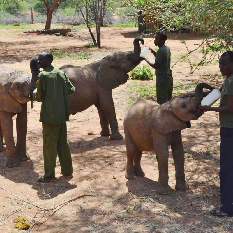 Saruni Samburu- 11