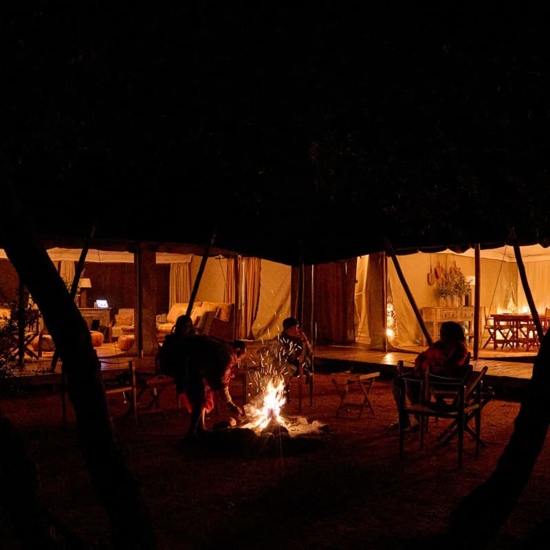 Saruni Wild- 12