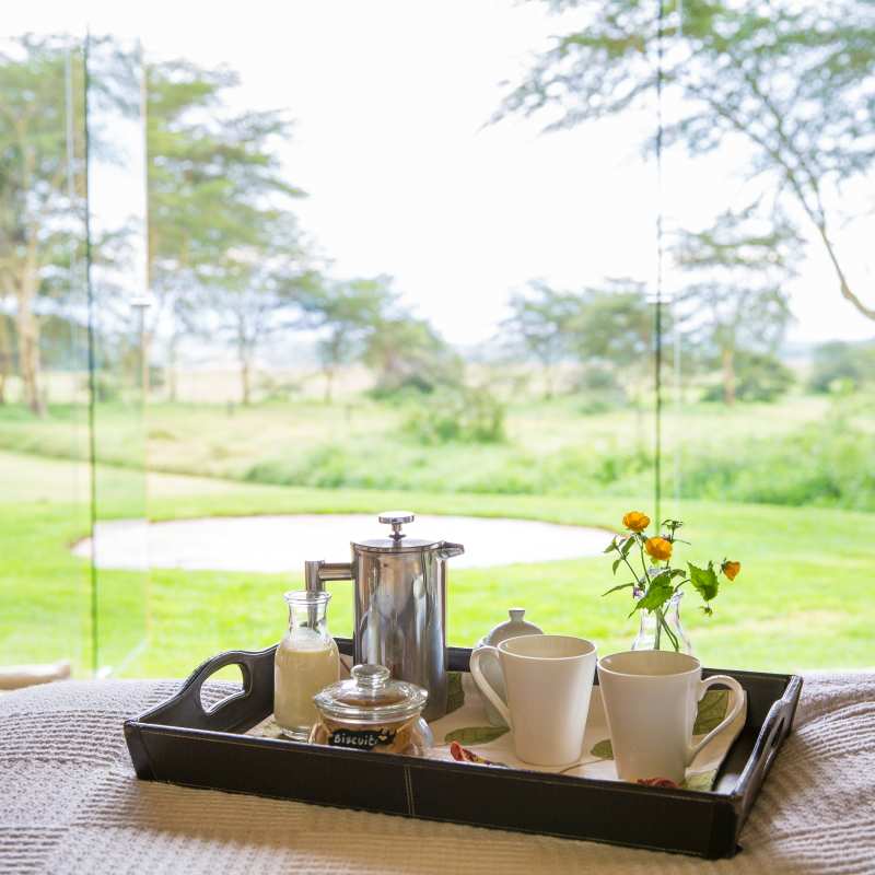 Solio Lodge- 10