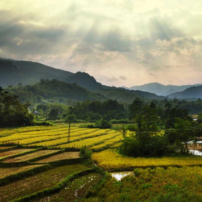 Laos Countryside 