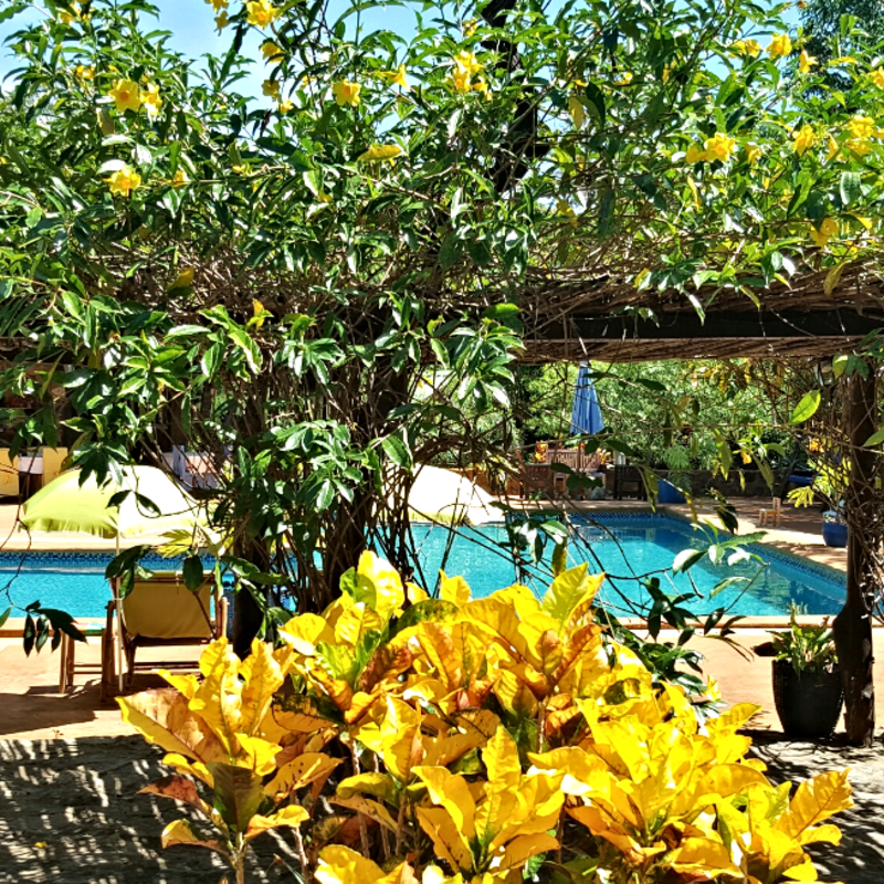 Ankarana Lodge- 6