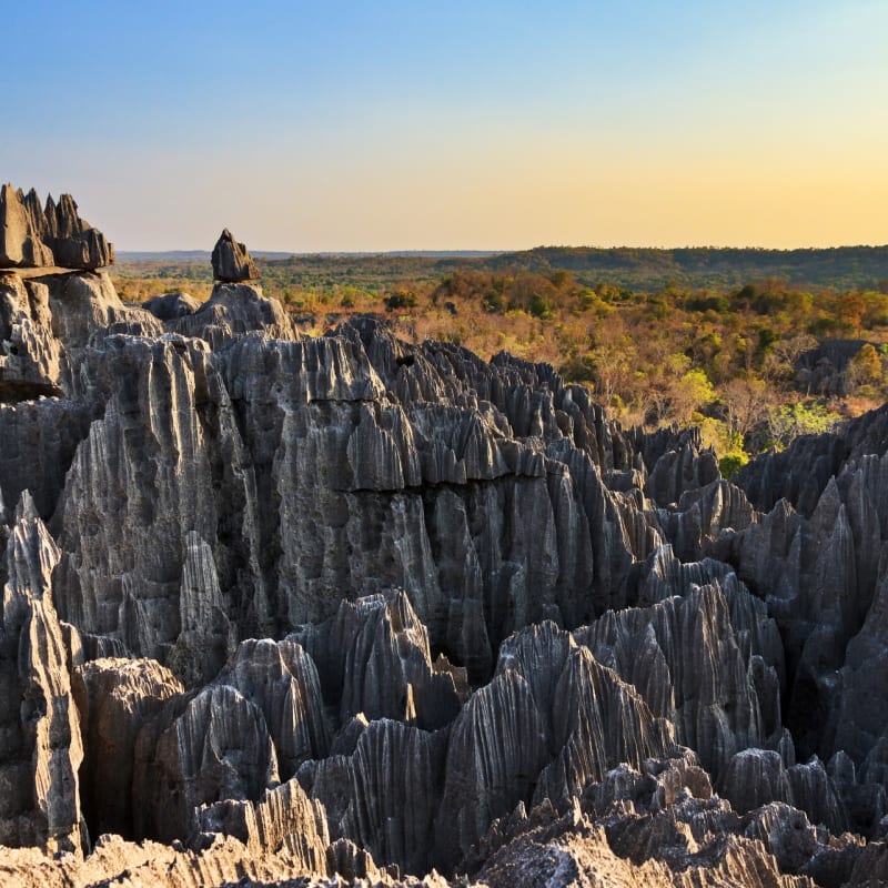 Tsingy de Bemaraha - Le Soleil des Tsingy