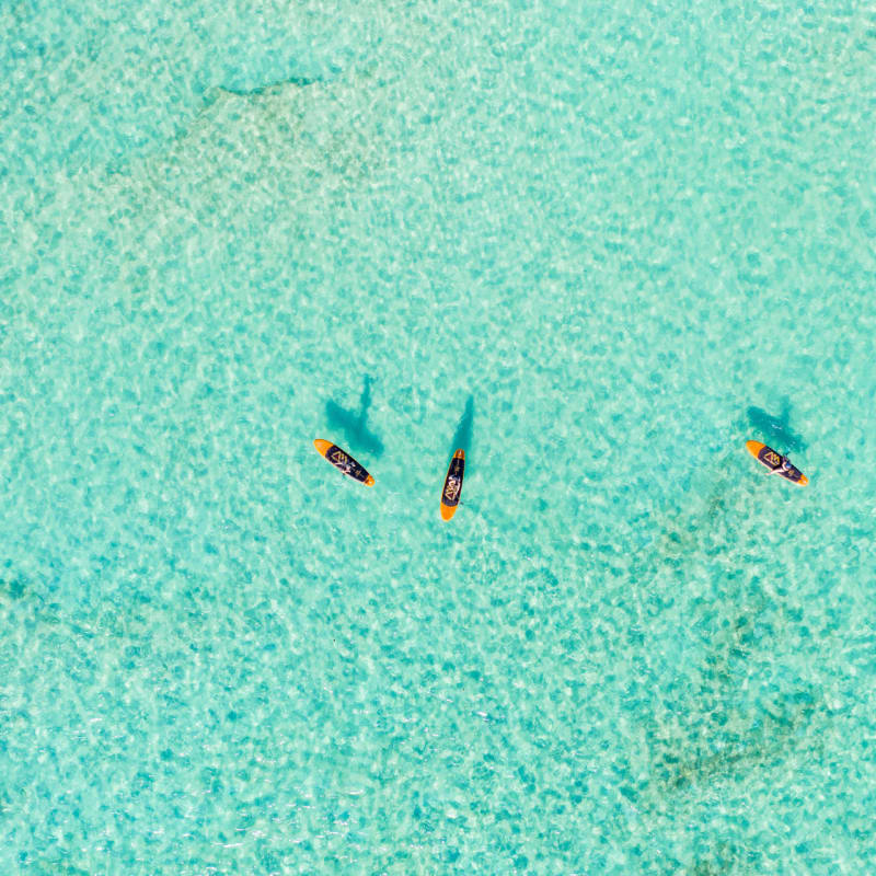 Kayak 