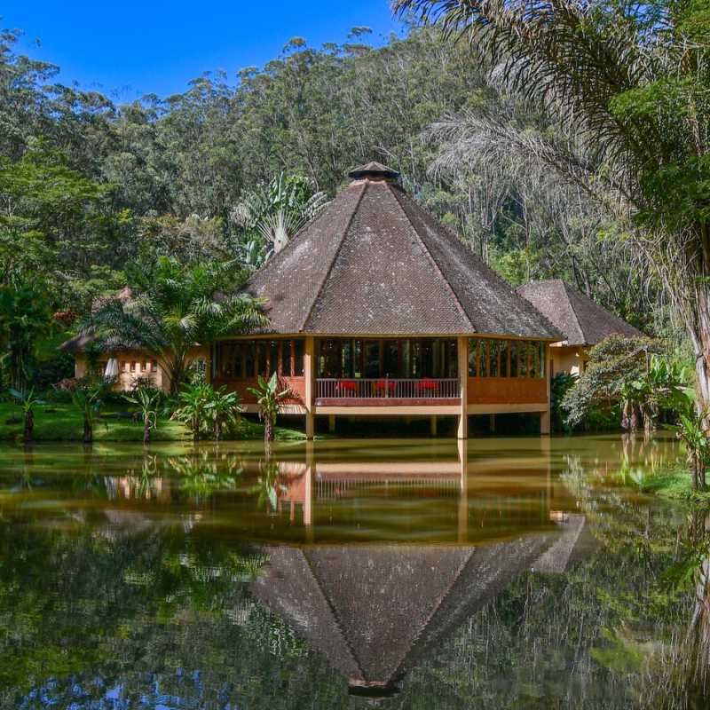 Vakona Forest Lodge- 11