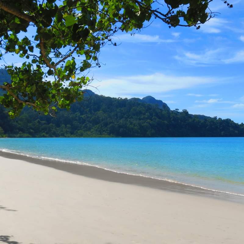 Endless Golden Beaches 