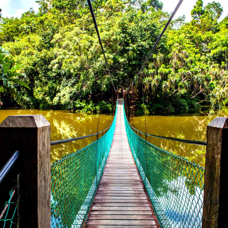Borneo Adventure 