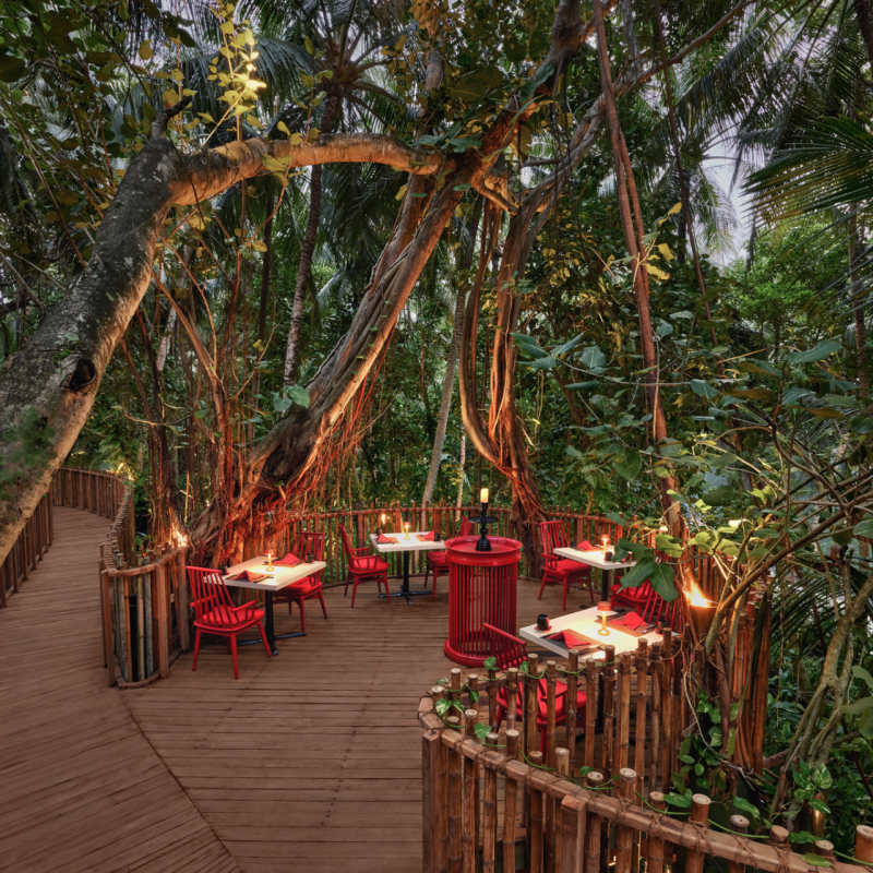 Nest Tree top Dining 