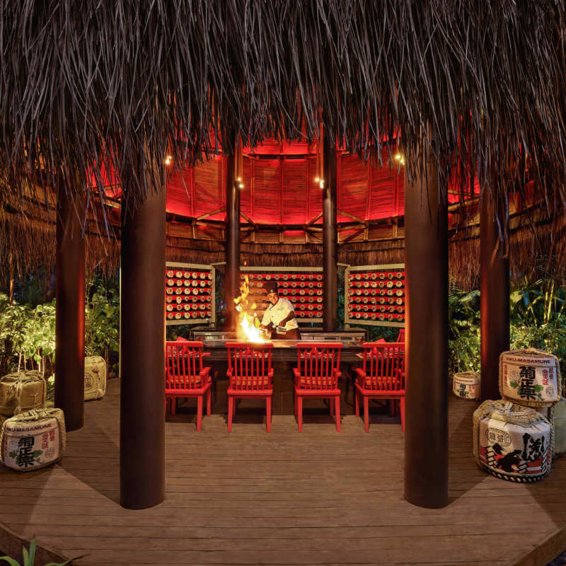 Nest Tepenyaki 