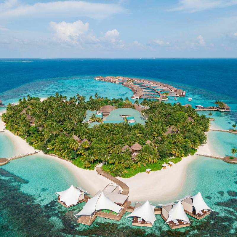 W Maldives- 50
