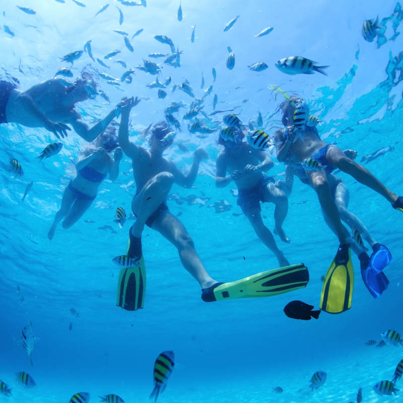 Snorkelling - Mayan Mysteries & the Caribbean Coast 