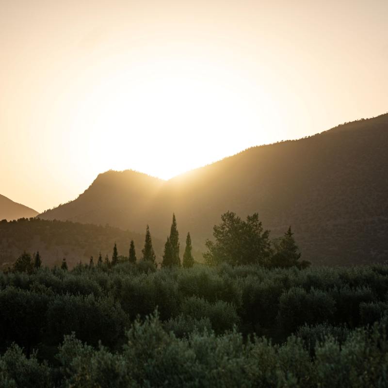 Sunset - Olinto 