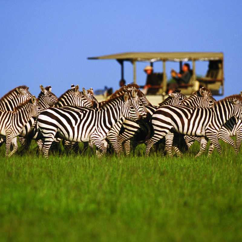 Greater Kruger  