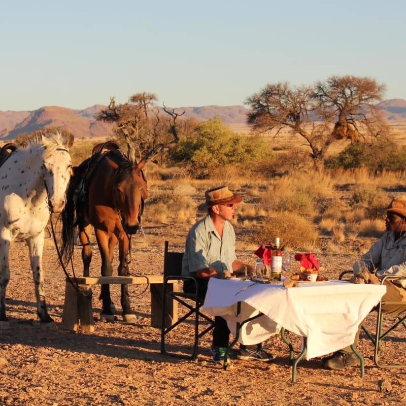Morning ride - Desert Homestead