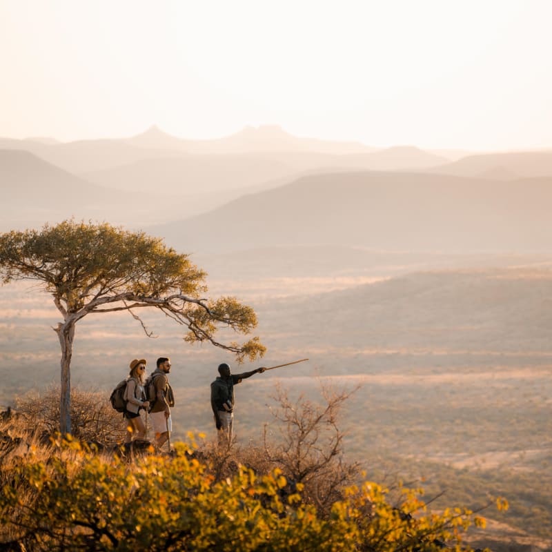 Walking viewpoint 
