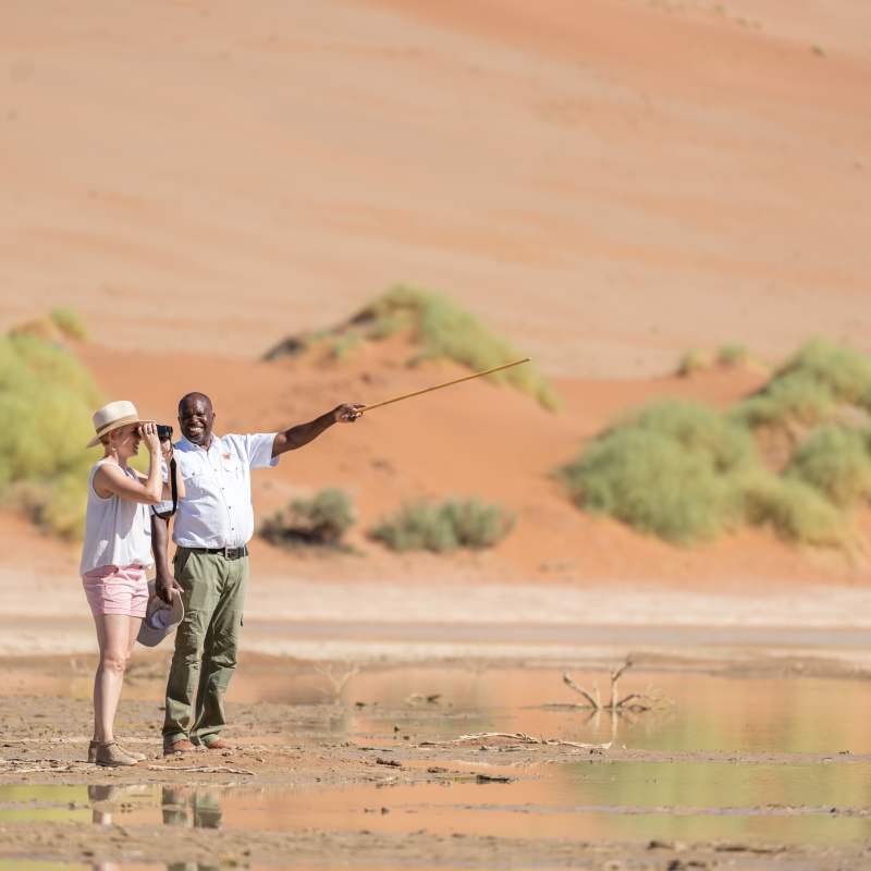 Hoodia Desert Lodge- 14