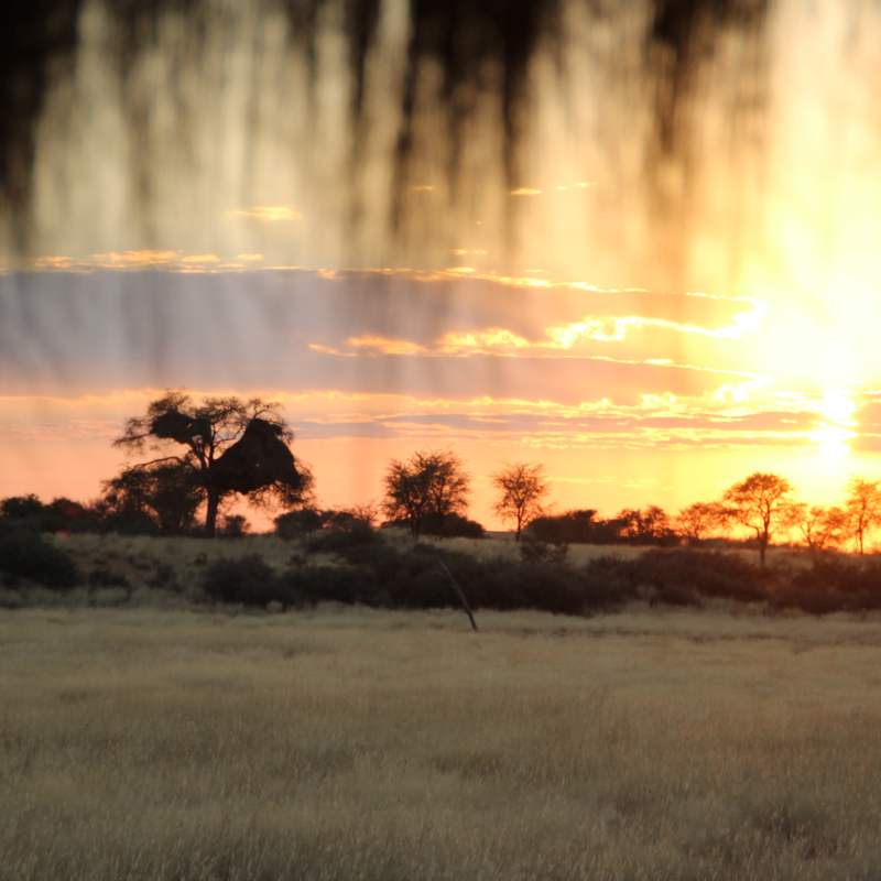 Kalahari Red Dunes Lodge- 5