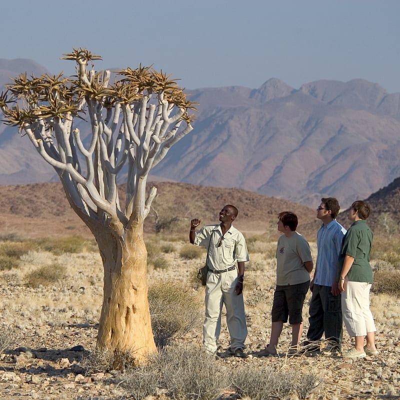 Nature walks - Kulala Desert Lodge